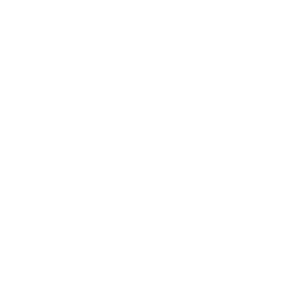 BRT.png