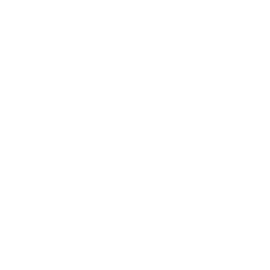 Guateseguro.png