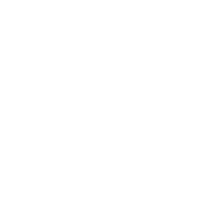 Liceo-Canadiense.png
